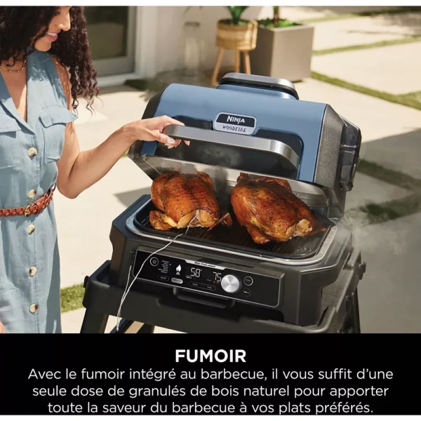 Barbecue électrique NINJA Woodfire OG901EU pro connect – Image 10